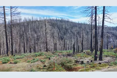 5308 Wooded Glen Road, Grizzly Flats, CA 95636 - Photo 6