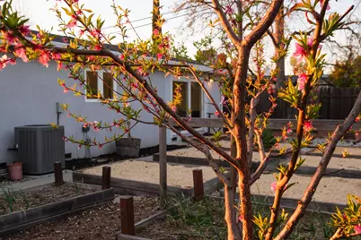 4381 Vulcan Drive, Sacramento, CA 95864 - Photo 58