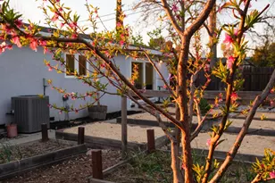 4381 Vulcan Dr, Sacramento, CA 95864 - Photo 58