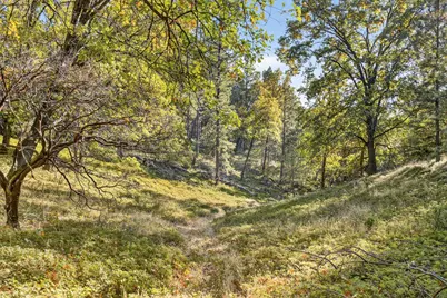 22080 Fiddletown Road, Volcano, CA 95689 - Photo 64