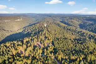 22080 Fiddletown Rd, Volcano, CA 95689 - Photo 82