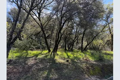 1001 Old Airport Road, Auburn, CA 95603 - Photo 2
