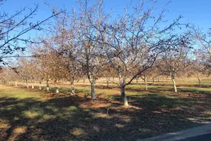 2365 Powell Rd, Marysville, CA 95901 - Photo 1