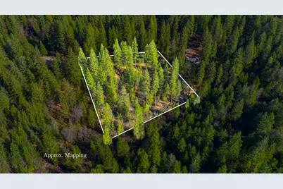 16094 Countrywood, Nevada City, CA 95959 - Photo 2