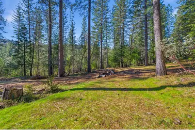 16094 Countrywood, Nevada City, CA 95959 - Photo 4