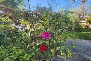 3451 Mabel, Sacramento, CA 95838 - Photo 34