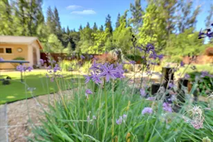 13271 La Barr Mdws Rd, Grass Valley, CA 95949 - Photo 42