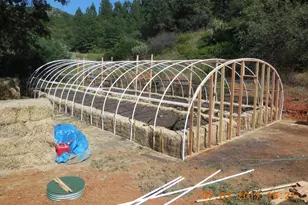 6067 Sheep Ranch Rd, Murphys, CA 95247 - Photo 10