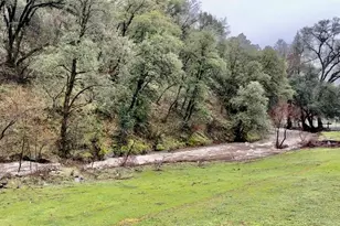 3000 Sheep Ranch Rd, Murphys, CA 95247 - Photo 46