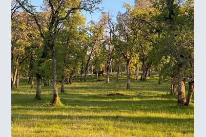 0 Hammonton Smartsville Road, Smartsville, CA 95977 - Photo 4