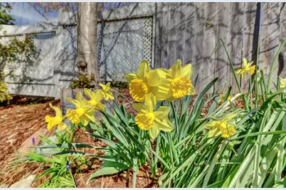 195 Cypress Hill Drive, Grass Valley, CA 95945 - Photo 56