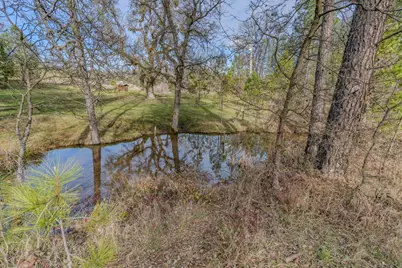 301 Bald Mountain Road, West Point, CA 95255 - Photo 46