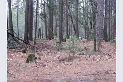 13685 Idaho Maryland Road, Nevada City, CA 95959 - Photo 10