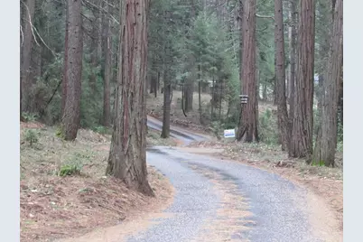 13685 Idaho Maryland Road, Nevada City, CA 95959 - Photo 4