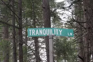 13685 Idaho Maryland Rd, Nevada City, CA 95959 - Photo 1