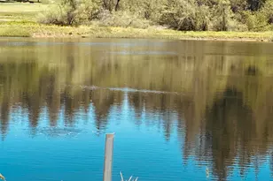 633 Forest Meadows Dr, Murphys, CA 95247 - Photo 12