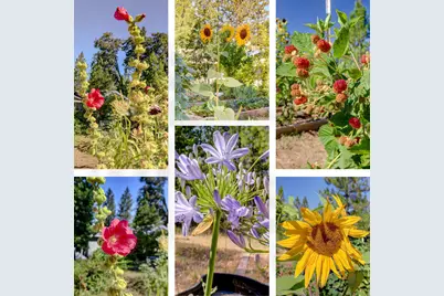 11823 Lost Ranch Way, Nevada City, CA 95959 - Photo 58