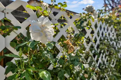 7513 Blue Bell Circle, Sacramento, CA 95829 - Photo 48