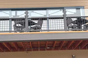 13740 Torrey Pines Dr, Auburn, CA 95602 - Photo 44