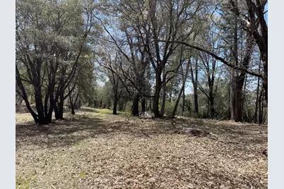 0 Parcel B Armstrong Road, Sheep Ranch, CA 95250 - Photo 2