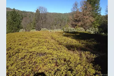 0 Armstrong Road, Sheep Ranch, CA 95246 - Photo 4