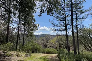 0 Armstrong Rd, Sheep Ranch, CA 95246 - Photo 1