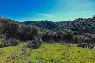 19 Leonard Rd, San Andreas, CA 95249 - Photo 1