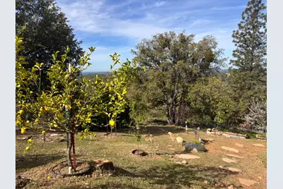 10285 Ponderosa Way, Pine Grove, CA 95665 - Photo 46