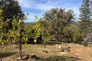 10285 Ponderosa Way, Pine Grove, CA 95665 - Photo 46