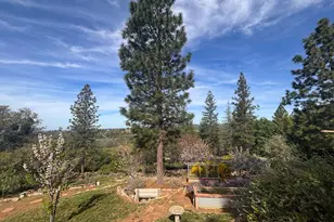 10285 Ponderosa Way, Pine Grove, CA 95665 - Photo 52