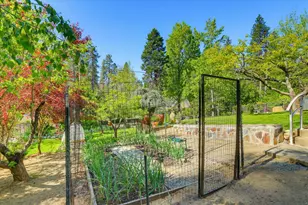 611 W Broad, Nevada City, CA 95959 - Photo 82