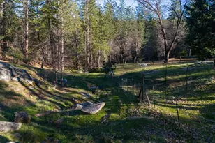 5351 Cosumnes Mine Rd, Somerset, CA 95684 - Photo 60