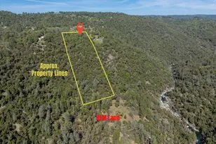 4910 Chisholm Trail, Placerville, CA 95667 - Photo 2