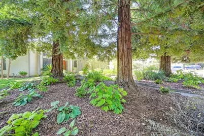 8530 Oak Harbour Court, Fair Oaks, CA 95628 - Photo 8