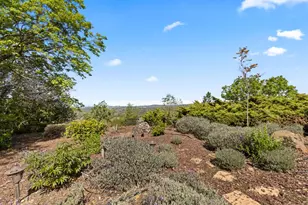 16029 Butte Mountain Rd, Jackson, CA 95642 - Photo 60