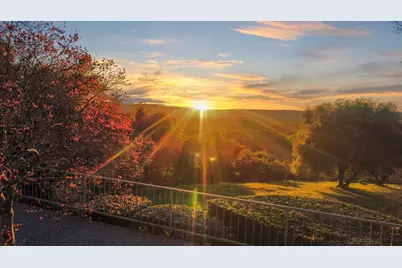 16029 Butte Mountain Road, Jackson, CA 95642 - Photo 10