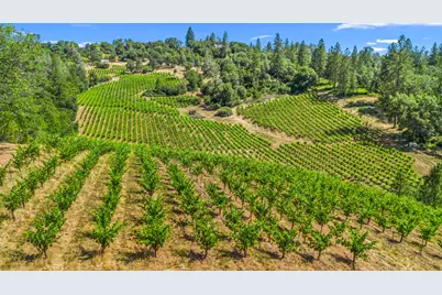 9425 Mosquito Road, Placerville, CA 95667 - Photo 14