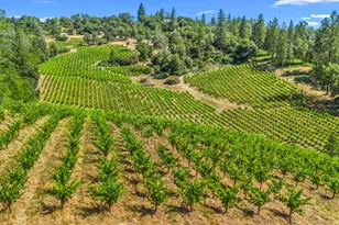 9425 Mosquito Rd, Placerville, CA 95667 - Photo 14