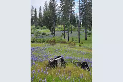 19736 Jesus Maria, Mokelumne Hill, CA 95245 - Photo 84