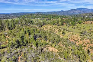 19736 Jesus Maria, Mokelumne Hill, CA 95245 - Photo 94