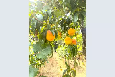 22801 Hidden Ranch Road, Auburn, CA 95602 - Photo 80