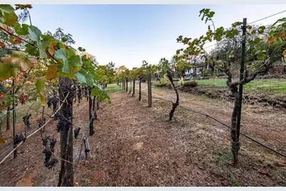 22801 Hidden Ranch Road, Auburn, CA 95602 - Photo 78