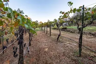 22801 Hidden Ranch Rd, Auburn, CA 95602 - Photo 78