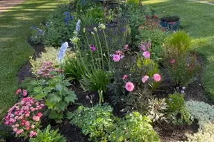 2847 Sierra Vista Rd, Rescue, CA 95672 - Photo 66