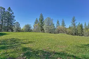 6261 Grizzly Flat Rd, Somerset, CA 95684 - Photo 56