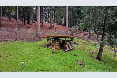 14882 Old Emigrant Road, Pioneer, CA 95666 - Photo 38