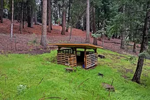 14882 Old Emigrant Rd, Pioneer, CA 95666 - Photo 38