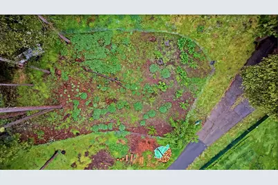 14882 Old Emigrant Road, Pioneer, CA 95666 - Photo 52