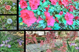 25799 Sweet Rd, Grass Valley, CA 95949 - Photo 88