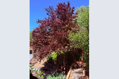 2021 Cedarville Road, Somerset, CA 95684 - Photo 40